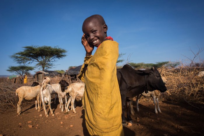 Lchekutis, Maasai Child Shepherds